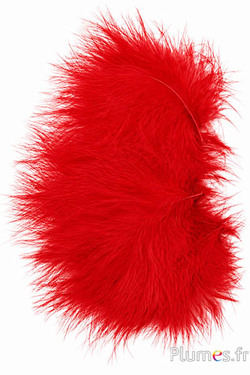 Kalkoen maraboe - 8-12 cm - rood